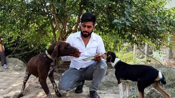 Adana'da Uyuyan Köpeğe Saldıran Kişi Serbest Bırakıldı ve Toplumsal Tepki Büyüyor