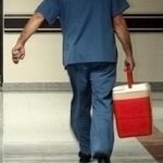 TBMM’de kabul edildi: organ bağışı süreçlerinde dönüşüm başlıyor! e-Devlet üzerinden organ bağışı dönemi geliyor: Bağışçıların yakınlarına öncelik tanınacak…