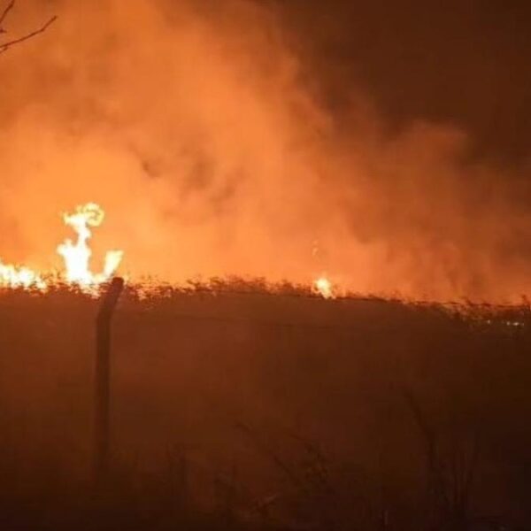 Sülüklü Göl’de kamışlar alev aldı
