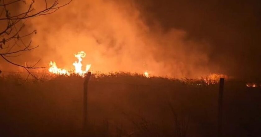 Sülüklü Göl’de kamışlar alev aldı