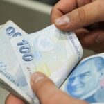 Kasım 2025 Yaşlı ve Engelli Aylığı Ödemeleri Sorgulama: Aylıklar Hesaba Yatmış Mı?